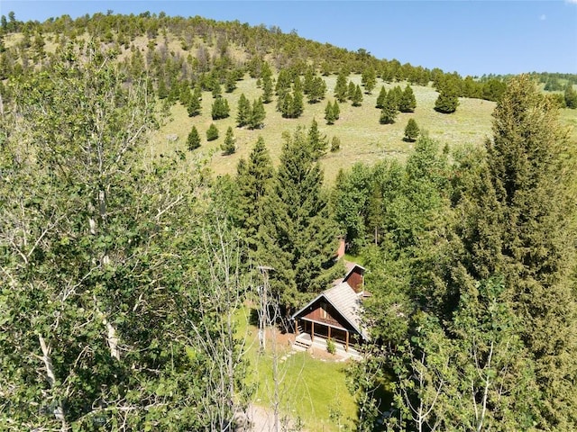 495 Jardine Rd, Gardiner, MT 59030 - view from above of property with a heavily wooded area