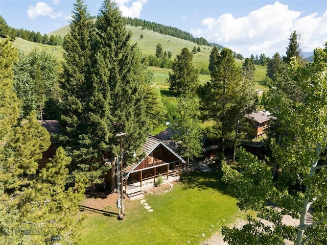 495 Jardine Rd, Gardiner, MT 59030 - aerial view of property and surrounding area