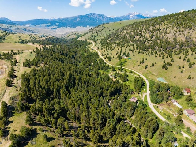 495 Jardine Rd, Gardiner, MT 59030 - view of property location featuring a mountainous background and a forest