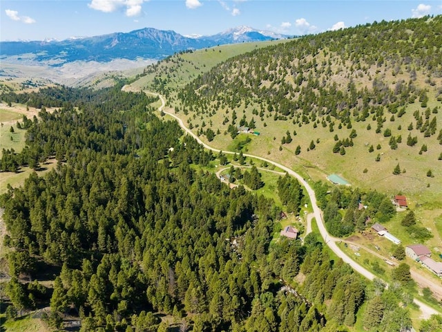 495 Jardine Rd, Gardiner, MT 59030 - view of property location with a mountain backdrop and a forest