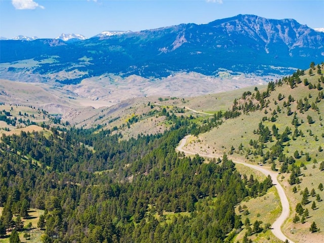 495 Jardine Rd, Gardiner, MT 59030 - view of mountain background featuring a heavily wooded area