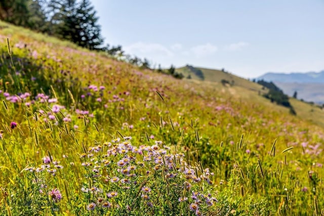 TBD Box Canyon Rd, Livingston, MT 59047 - photo 7