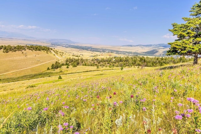 TBD Box Canyon Rd, Livingston, MT 59047 - photo 8
