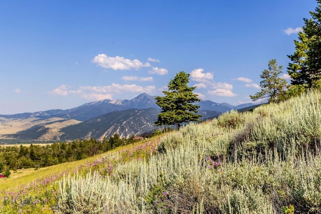 TBD Box Canyon Rd, Livingston, MT 59047 - photo 1