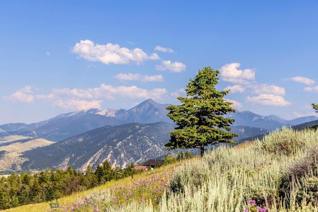 TBD Box Canyon Rd, Livingston, MT 59047 - photo 11