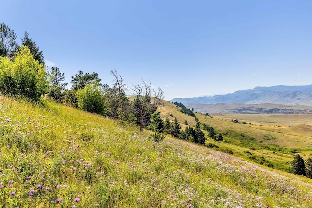 TBD Box Canyon Rd, Livingston, MT 59047 - photo 12