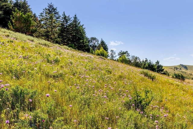 TBD Box Canyon Rd, Livingston, MT 59047 - photo 13