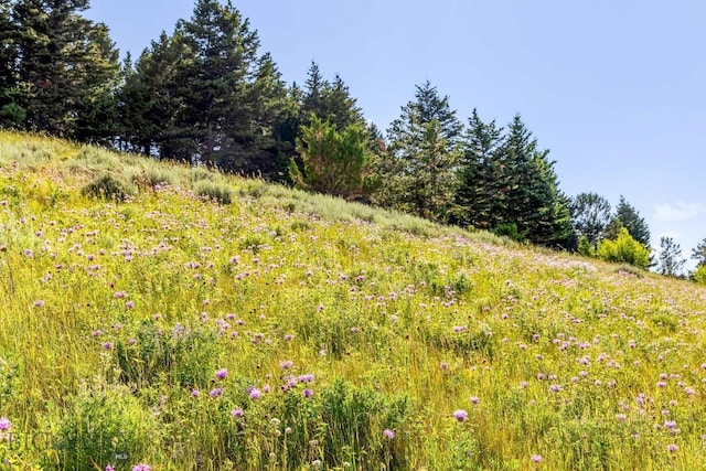 TBD Box Canyon Rd, Livingston, MT 59047 - photo 14