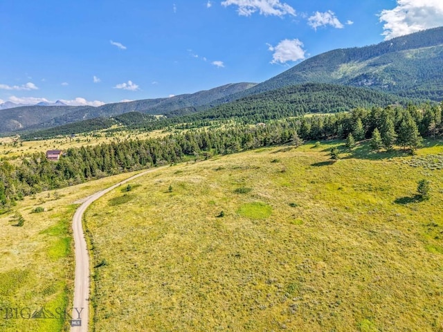TBD Box Canyon Rd, Livingston, MT 59047 - photo 23