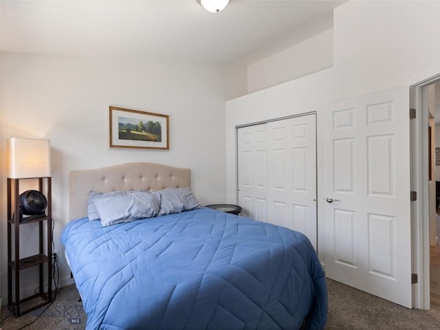 407 Brookline St Unit A, Livingston, MT 59047 - carpeted bedroom featuring a closet