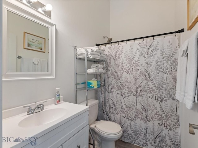 407 Brookline St Unit A, Livingston, MT 59047 - bathroom featuring vanity and toilet