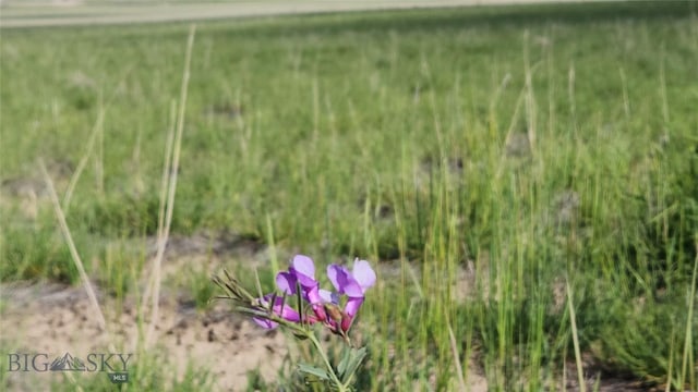 TBD Lewis Dr, Three Forks, MT 59752