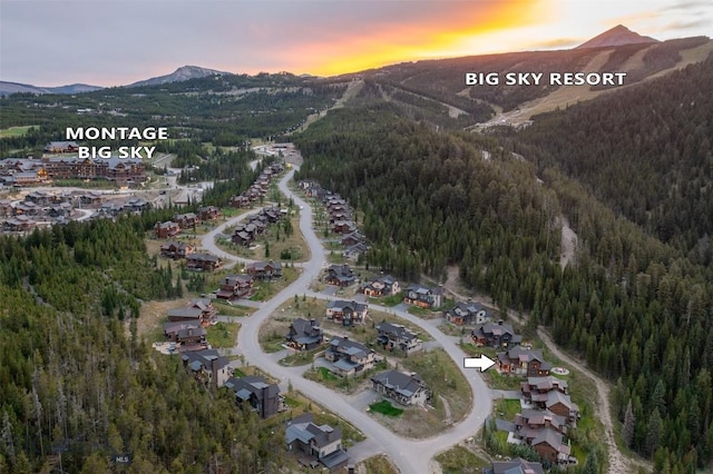 aerial view at dusk of a forest view and a mountain view