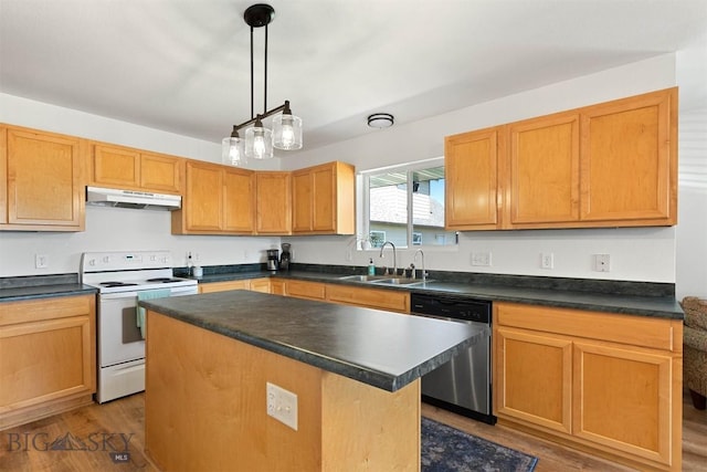 108 10th St Unit B, Belgrade, MT 59714 - kitchen with stainless steel dishwasher, white electric range, a sink, under cabinet range hood, and dark wood-type flooring