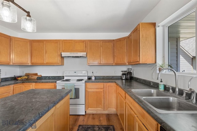108 10th St Unit B, Belgrade, MT 59714 - kitchen with white range with electric stovetop, a sink, under cabinet range hood, dark countertops, and dark wood-type flooring