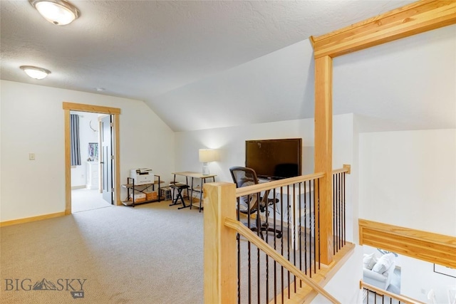 3493 Lolo Way, Bozeman, MT 59718 - additional living space with lofted ceiling, carpet flooring, a textured ceiling, and baseboards