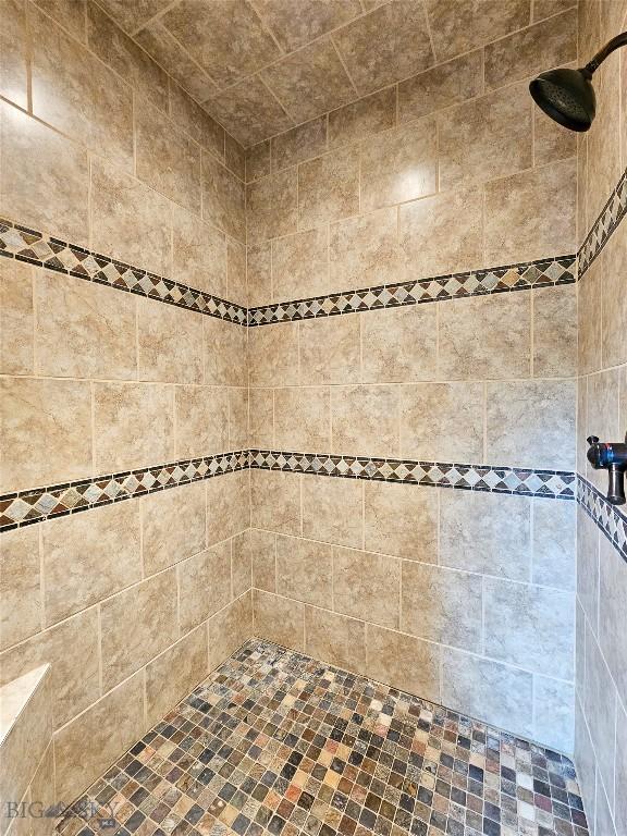 115AND117 Otter Creek Rd, Big Timber, MT 59011 - full bath with tiled shower