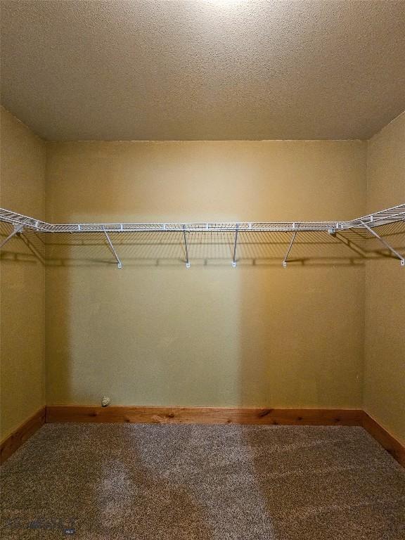 115AND117 Otter Creek Rd, Big Timber, MT 59011 - walk in closet featuring carpet floors