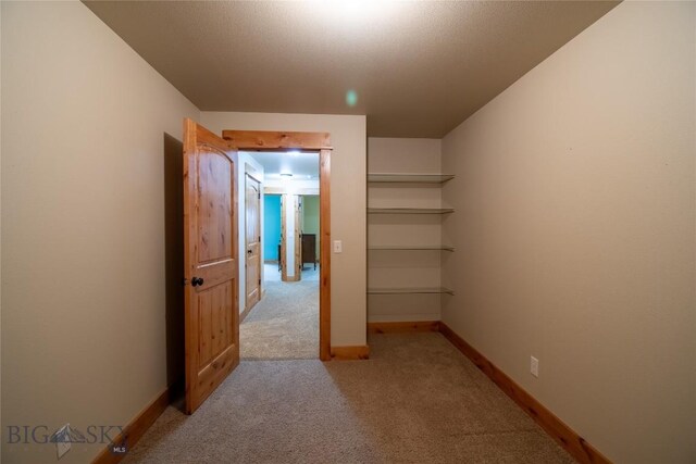 115AND117 Otter Creek Rd, Big Timber, MT 59011 - corridor featuring light colored carpet and baseboards