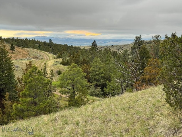 222 S Fork Ray Creek Rd, Townsend, MT 59644 - view of woods