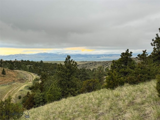 222 S Fork Ray Creek Rd, Townsend, MT 59644 - mountain view featuring a heavily wooded area