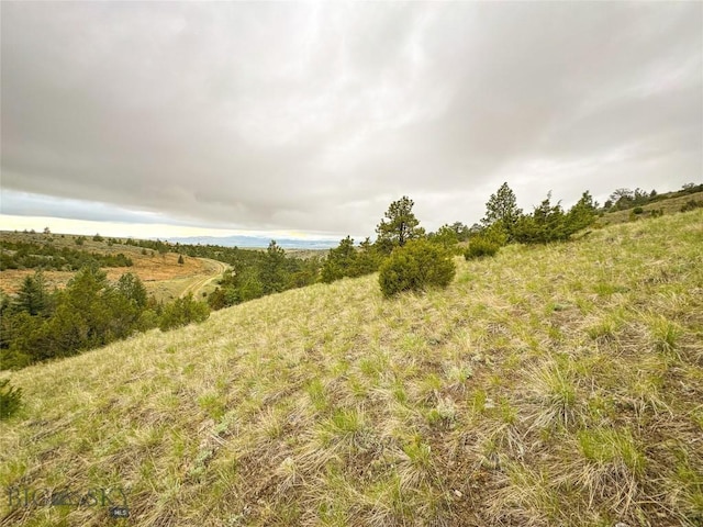 222 S Fork Ray Creek Rd, Townsend, MT 59644 - view of nature