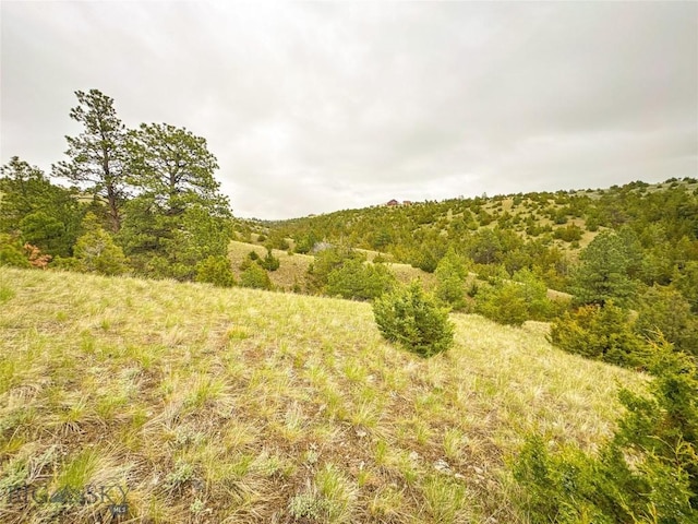 222 S Fork Ray Creek Rd, Townsend, MT 59644 - view of nature