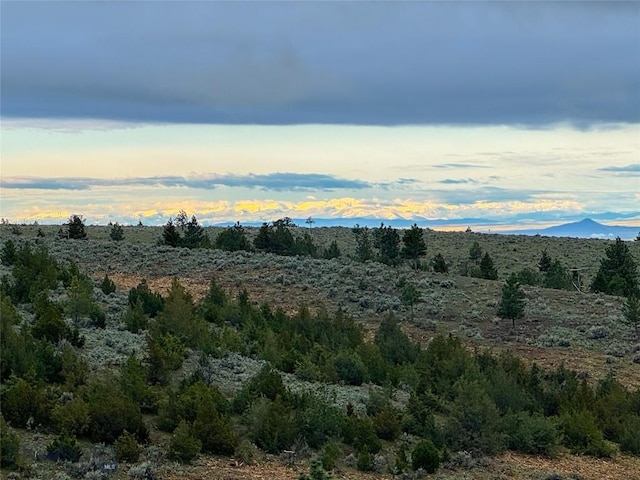 222 S Fork Ray Creek Rd, Townsend, MT 59644 - view of nature