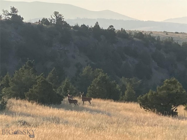 222 S Fork Ray Creek Rd, Townsend, MT 59644 - view of mountain backdrop with a forest