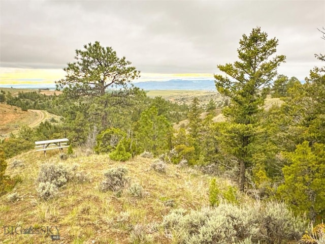 222 S Fork Ray Creek Rd, Townsend, MT 59644 - mountain view