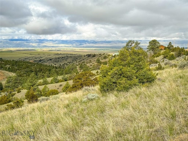 222 S Fork Ray Creek Rd, Townsend, MT 59644 - view of undeveloped land