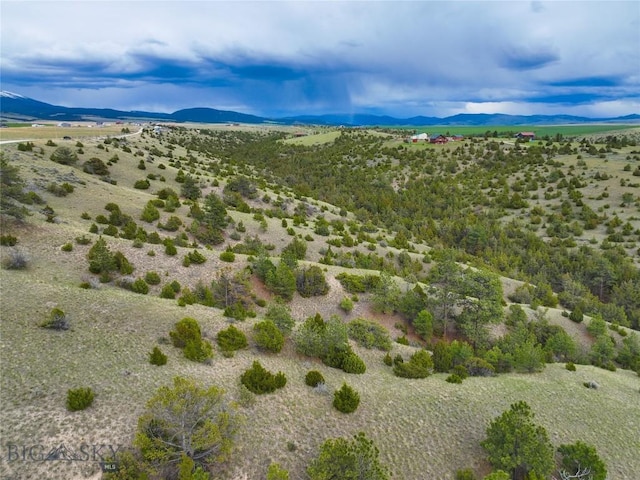 222 S Fork Ray Creek Rd, Townsend, MT 59644 - view of mountain background