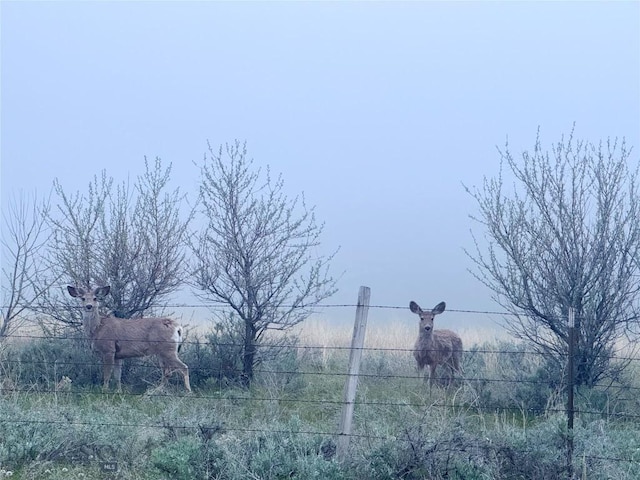 222 S Fork Ray Creek Rd, Townsend, MT 59644 - view of city featuring rural landscape