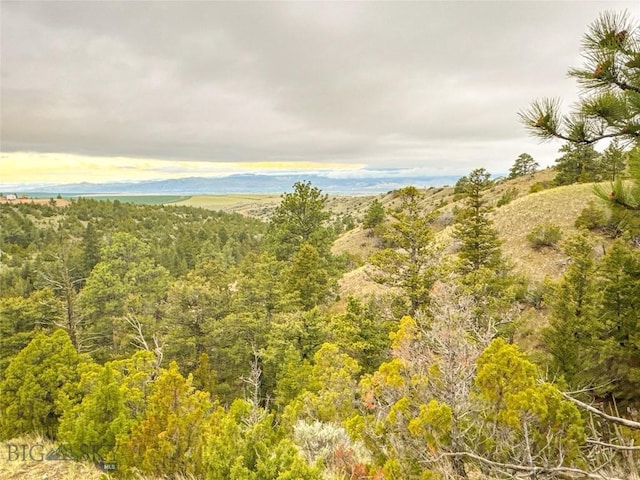 222 S Fork Ray Creek Rd, Townsend, MT 59644 - view of mountain backdrop featuring a heavily wooded area