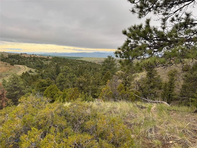 222 S Fork Ray Creek Rd, Townsend, MT 59644 - view of woods