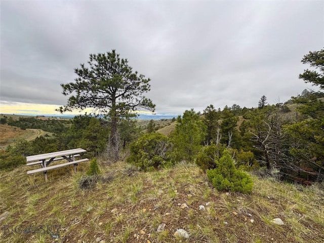 222 S Fork Ray Creek Rd, Townsend, MT 59644 - view of yard with a view of trees
