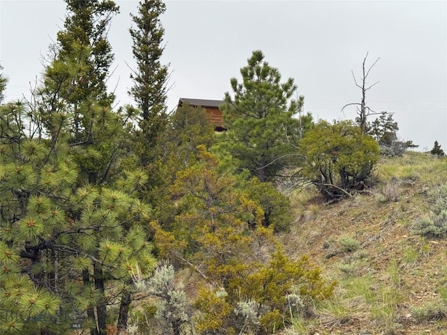 222 S Fork Ray Creek Rd, Townsend, MT 59644 - view of nature