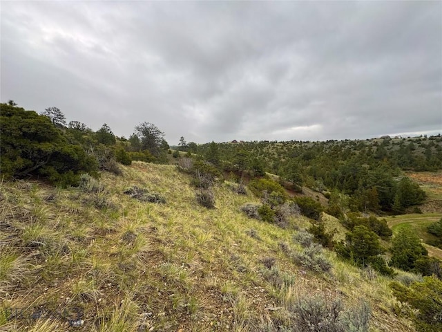 222 S Fork Ray Creek Rd, Townsend, MT 59644 - view of tree filled area