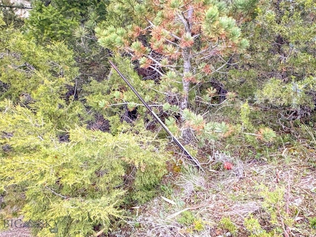 222 S Fork Ray Creek Rd, Townsend, MT 59644 - view of undeveloped land