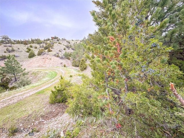 222 S Fork Ray Creek Rd, Townsend, MT 59644 - view of undeveloped land