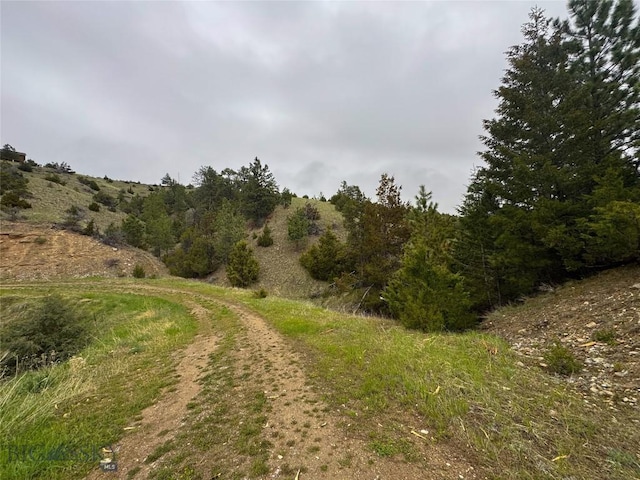 222 S Fork Ray Creek Rd, Townsend, MT 59644 - view of nature