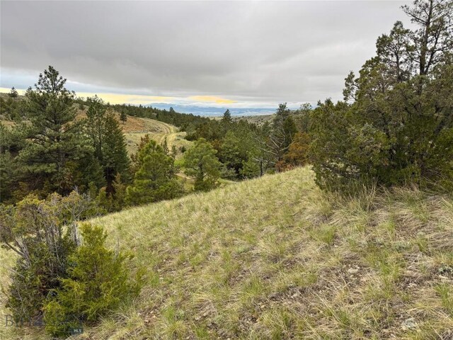 222 S Fork Ray Creek Rd, Townsend, MT 59644 - view of wooded area