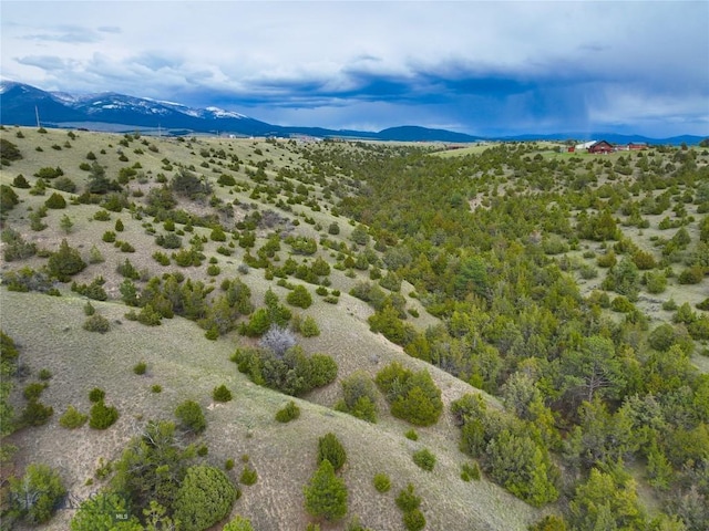 222 S Fork Ray Creek Rd, Townsend, MT 59644 - view of mountain backdrop