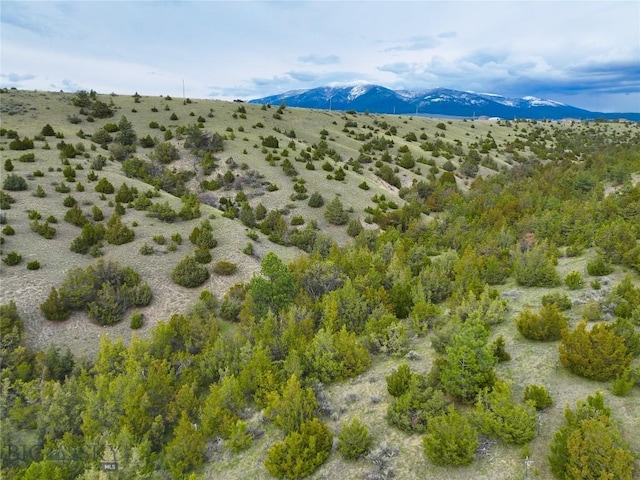 222 S Fork Ray Creek Rd, Townsend, MT 59644 - view of mountain backdrop with a desert landscape and rural landscape