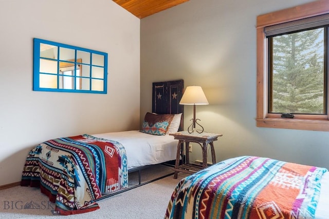 75 Rose Hip Cir, Big Sky, MT 59716 - view of carpeted bedroom
