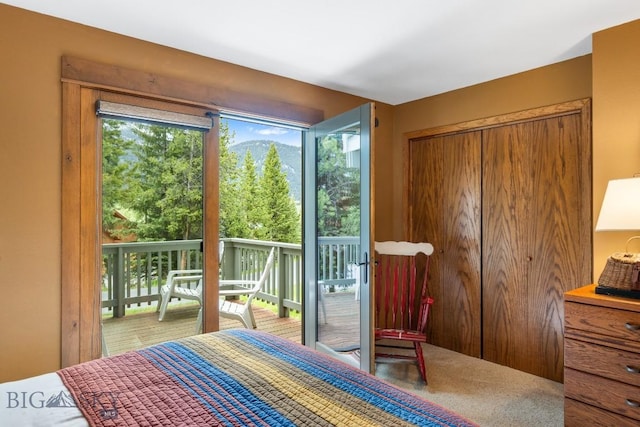 75 Rose Hip Cir, Big Sky, MT 59716 - bedroom with multiple windows and access to outside