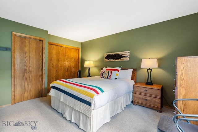 75 Rose Hip Cir, Big Sky, MT 59716 - bedroom with light colored carpet and two closets