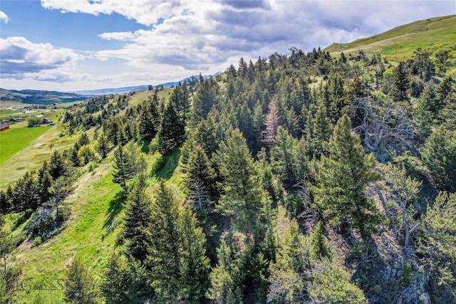 TBD US Highway 10 W, Livingston, MT 59047