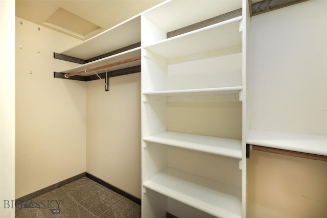 20 Prairie Grass B, Bozeman, MT 59718 - walk in closet with attic access and carpet