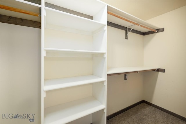 20 Prairie Grass B, Bozeman, MT 59718 - spacious closet with dark carpet